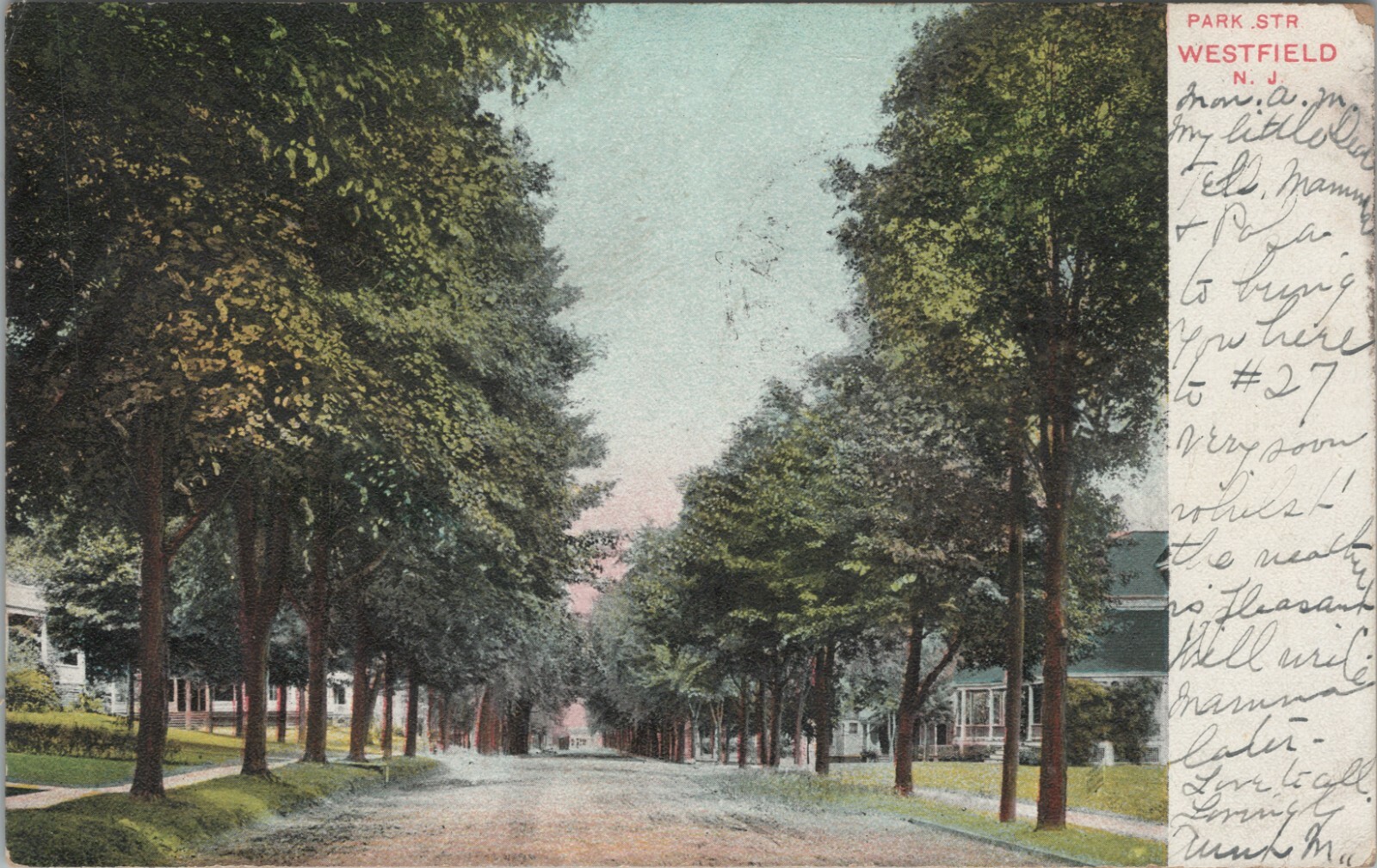 c1905 Park Street Westfield New Jersey NJ trees Germany Wirths Art postcard F687
