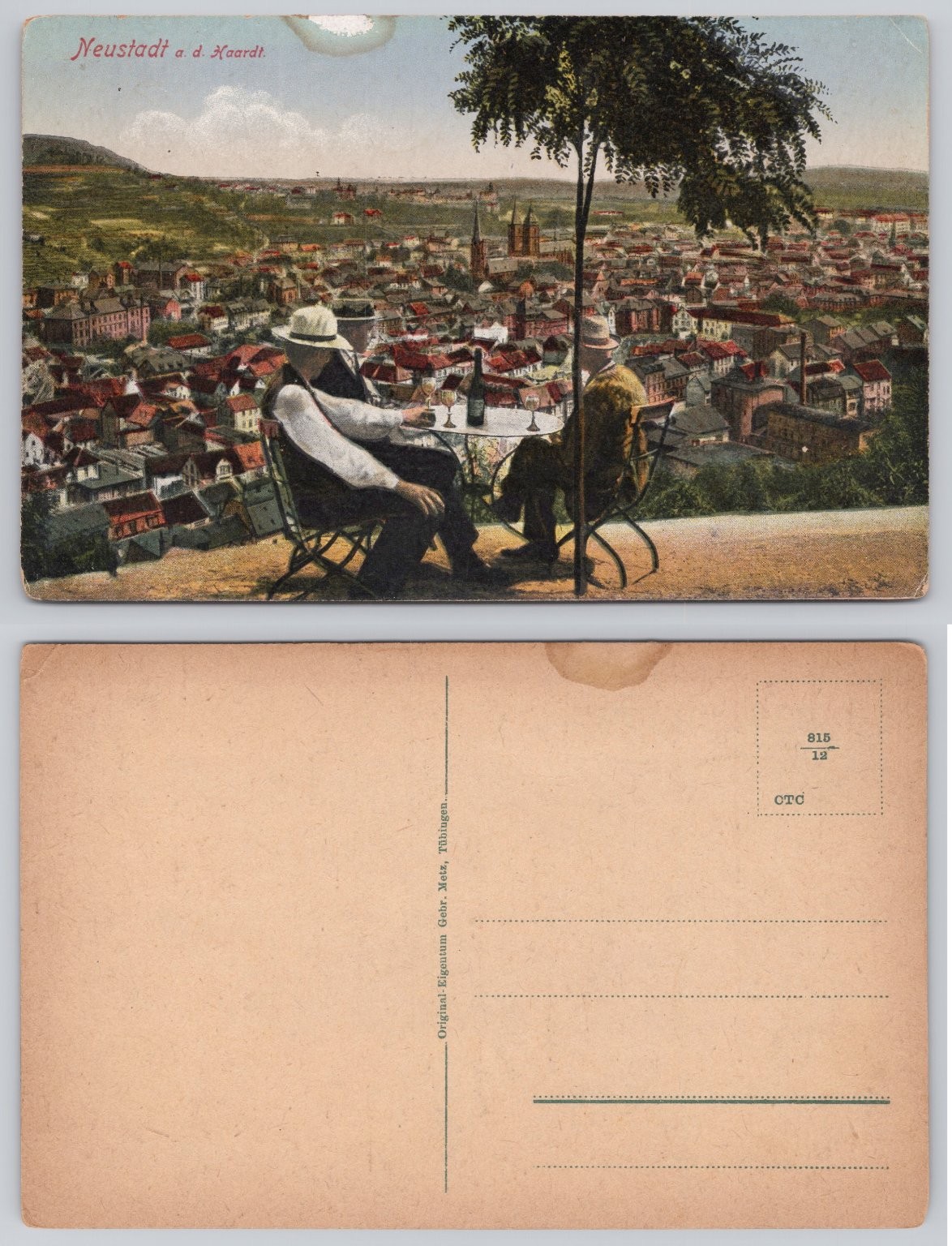 Neustadt a. d. Haardt Germany City View Gebr. Metz Postcard