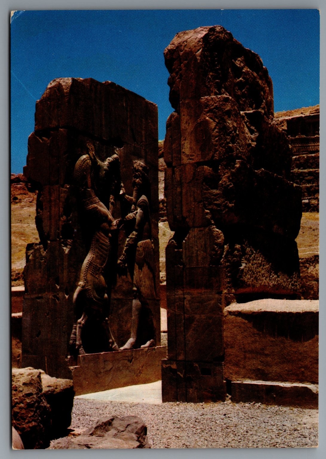 Vintage Shiraz Persepolis Postcard Featuring Ancient Relief Sculptures