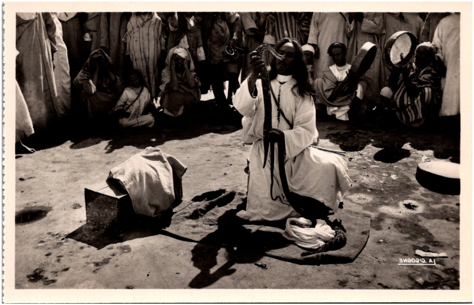 Snake Charmer Handling Snakes Casablanca Morocco 1930s African RPPC Postcard