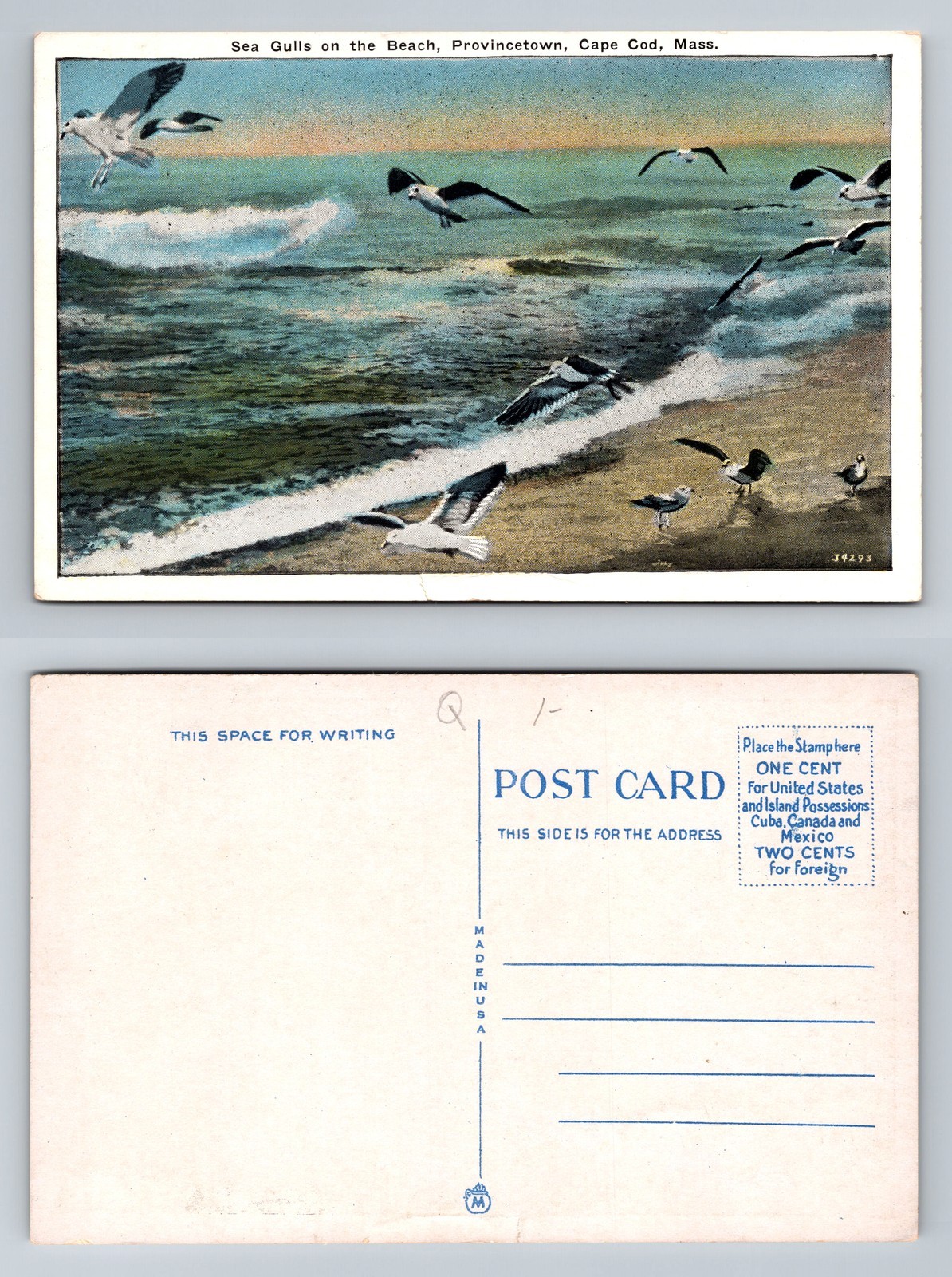 Provincetown, MA-Massachusetts, Sea Gulls on the Beach Cape Cod Vintage Postcard