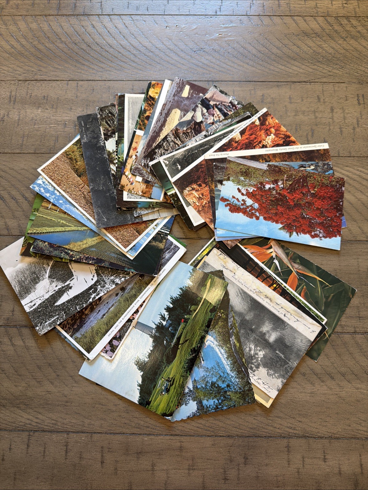 50 Vintage Nature Postcards Lot 1920s-70s Landscapes Mountains Lakes Sunset Lake