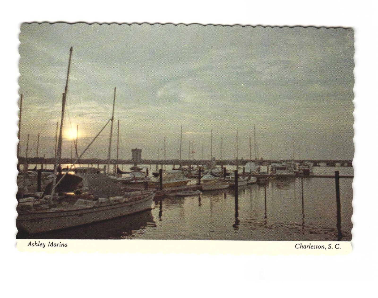 Ashley Marina Charleston SC vintage postcard Unposted