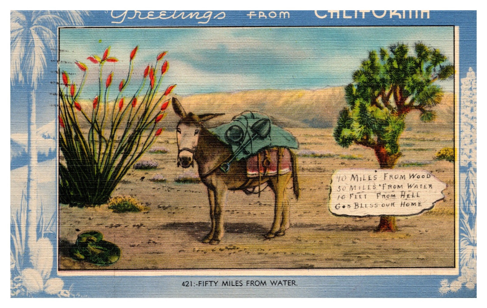 postcard Greeting from California c1940 mule 50 miles from water B1916