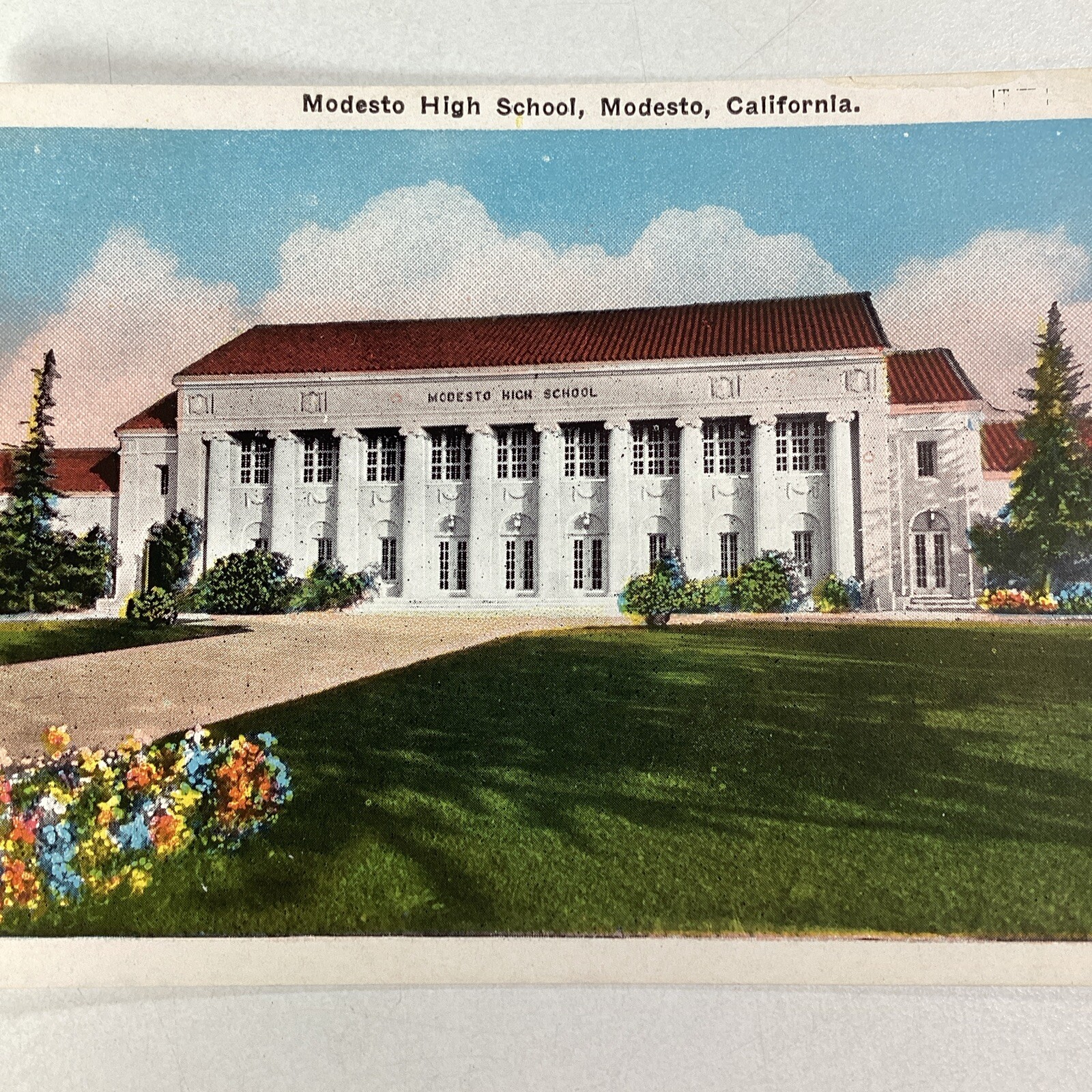 California Postcard Early 1900s Modesto High School Flowers