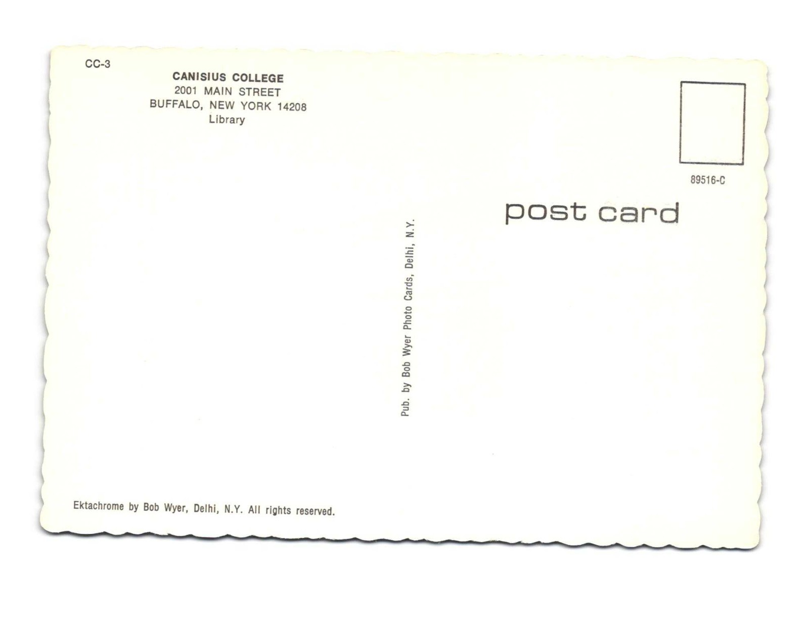 CANISIUS College Buffalo NY Vintage Postcard unposted Library
