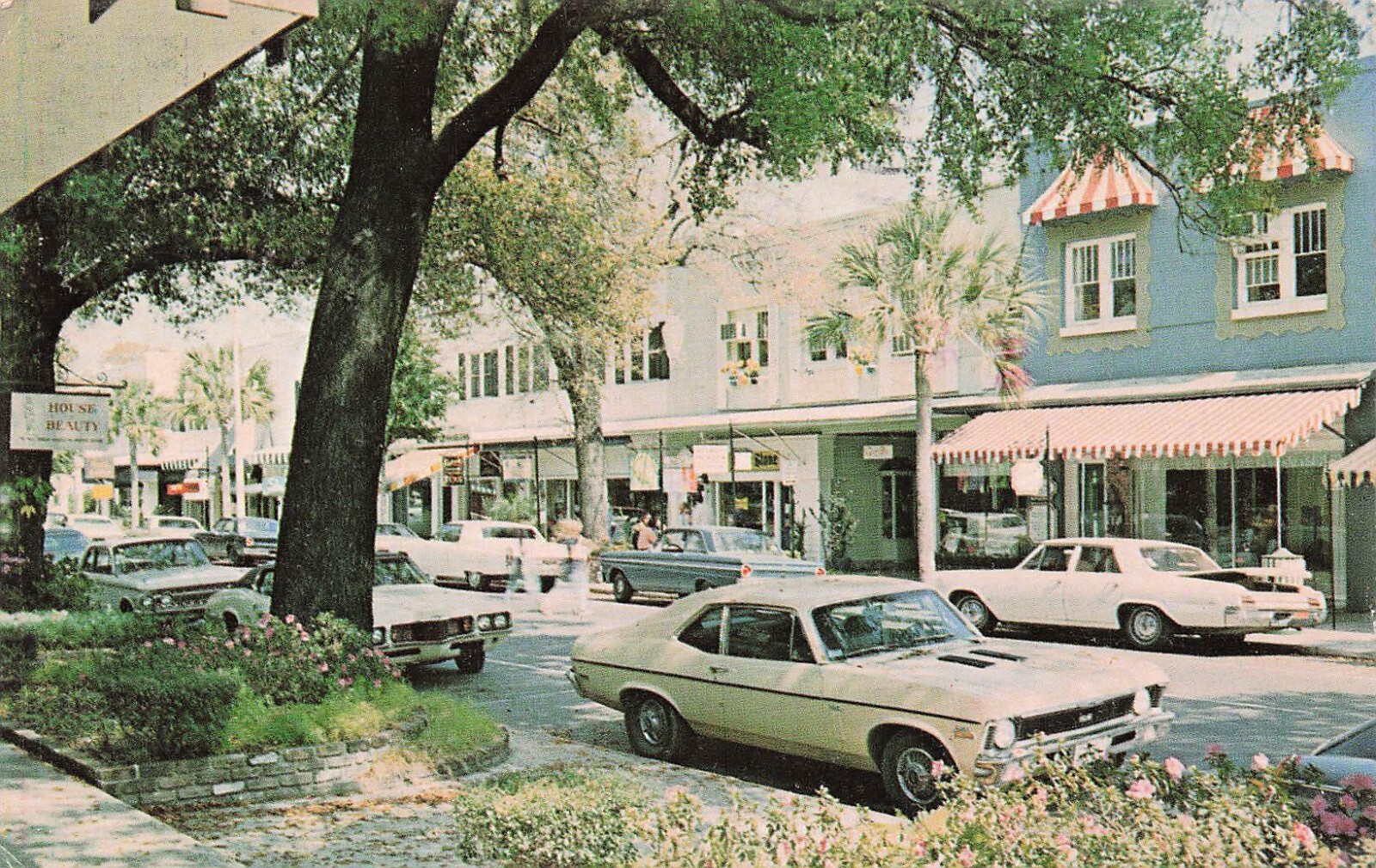 Orlando Winter Park FL Florida Main Street Avenue Downtown Vtg Postcard F28