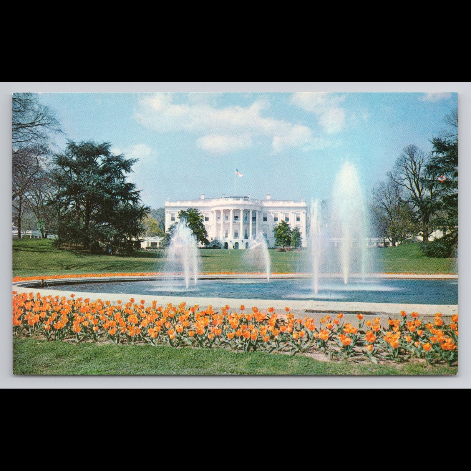 Vintage Postcard Washington D.C. White House Unposted Historic Scenic View