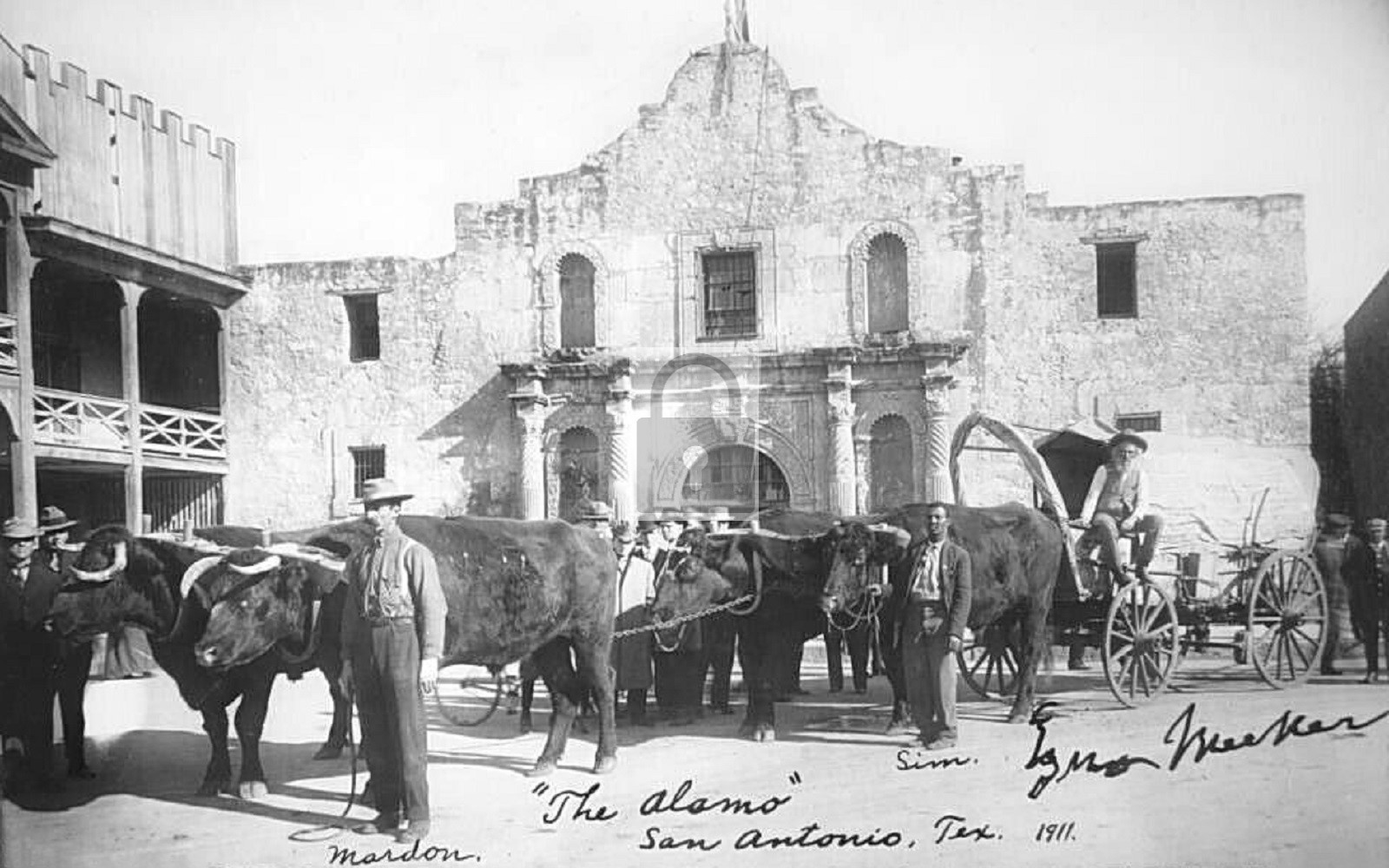 Ox Team Wagon The Alamo San Antonio Texas TX – Reprint