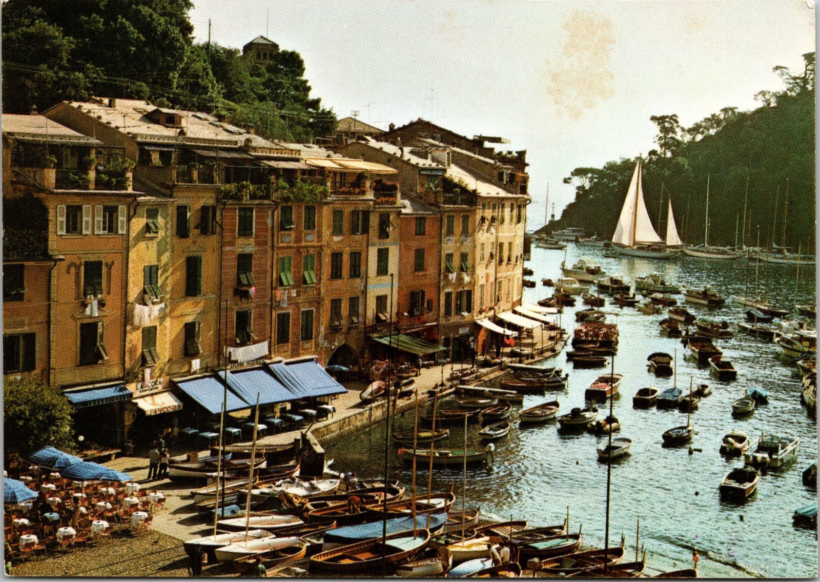 Vintage Postcard Portofino Italy