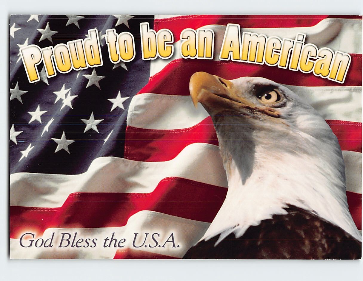Postcard American Bald Eagle & USA Flag Proud to be American