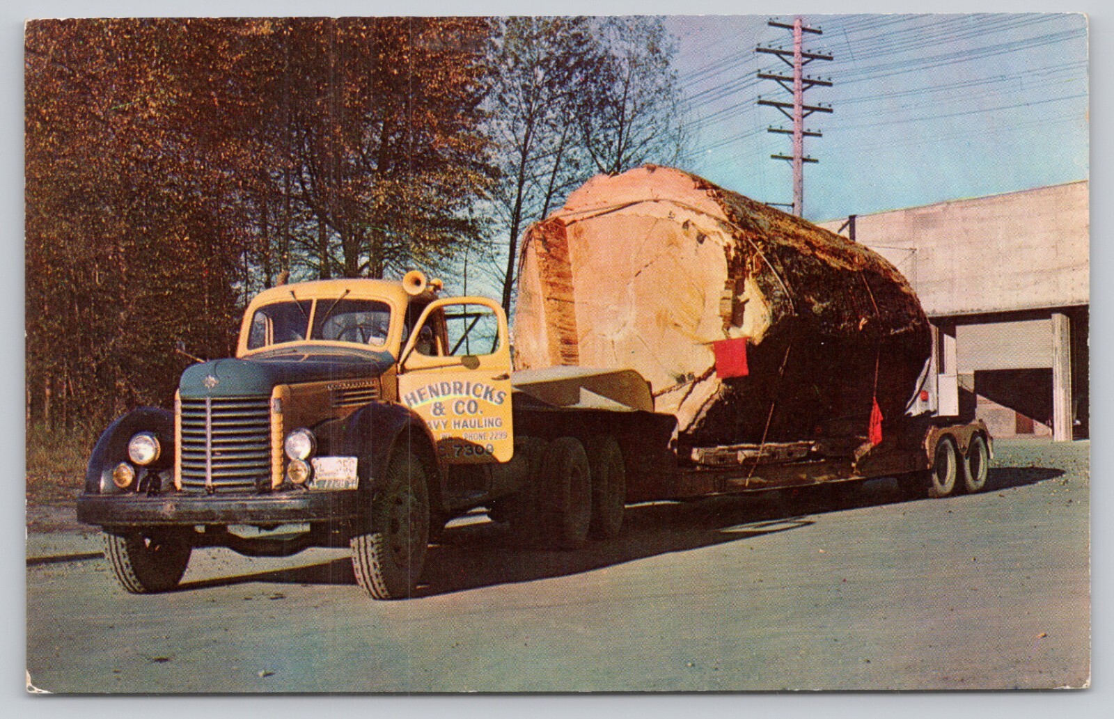 Postcard Washington and Oregon Logging in the Pacific Northwest