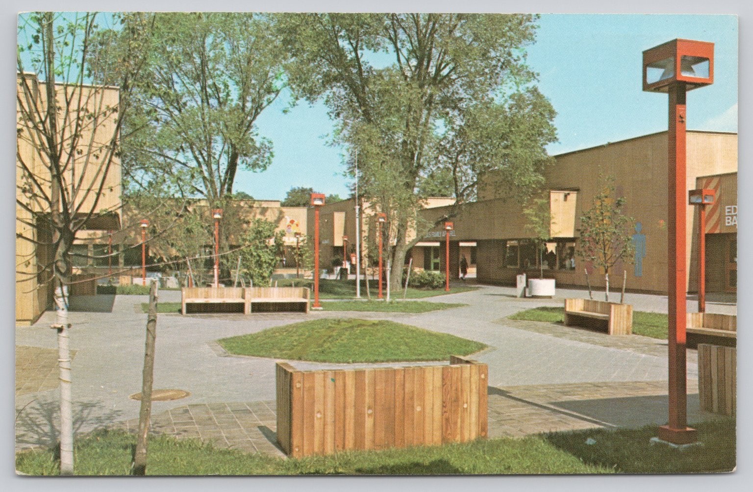 Vintage Wayland NY Village Square Shops Postcard Dexter Press