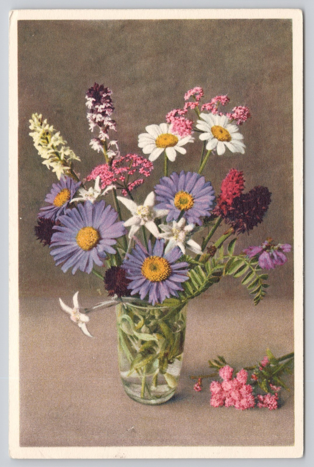 Switzerland Mountain Flower Bouquet in Vase White Border Postcard Unposted
