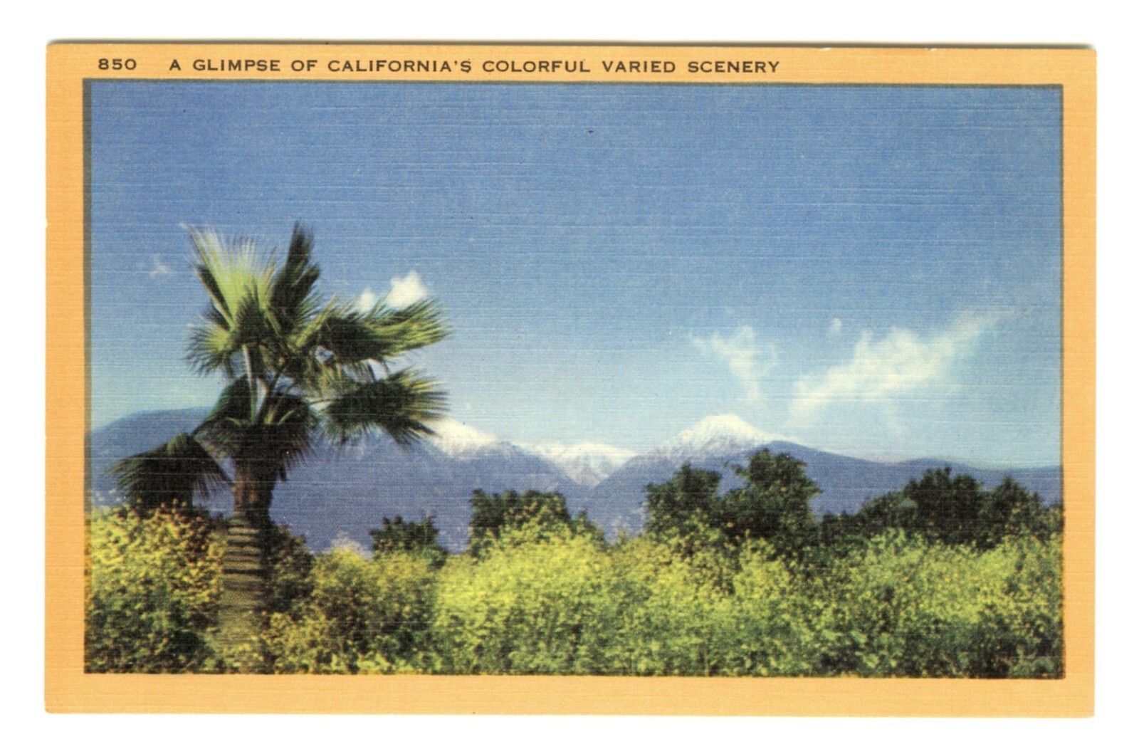 1940s BEAUTIFUL VARIED LANDSCAPE near PASADENA,CALIFORNIA~VINTAGE LINEN POSTCARD