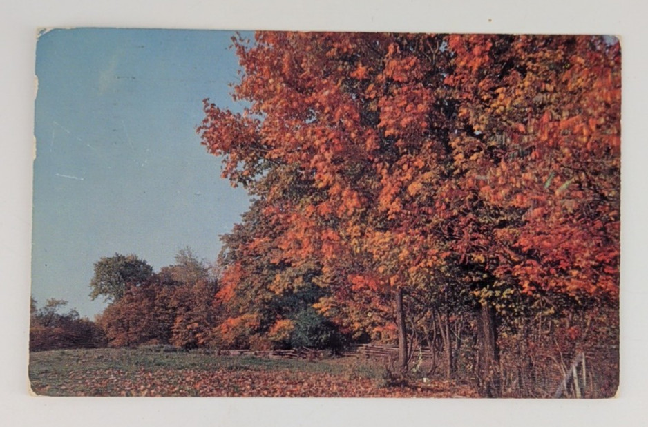 Massachusetts Mixed Post Card Lot of 9 Various Places Vintage