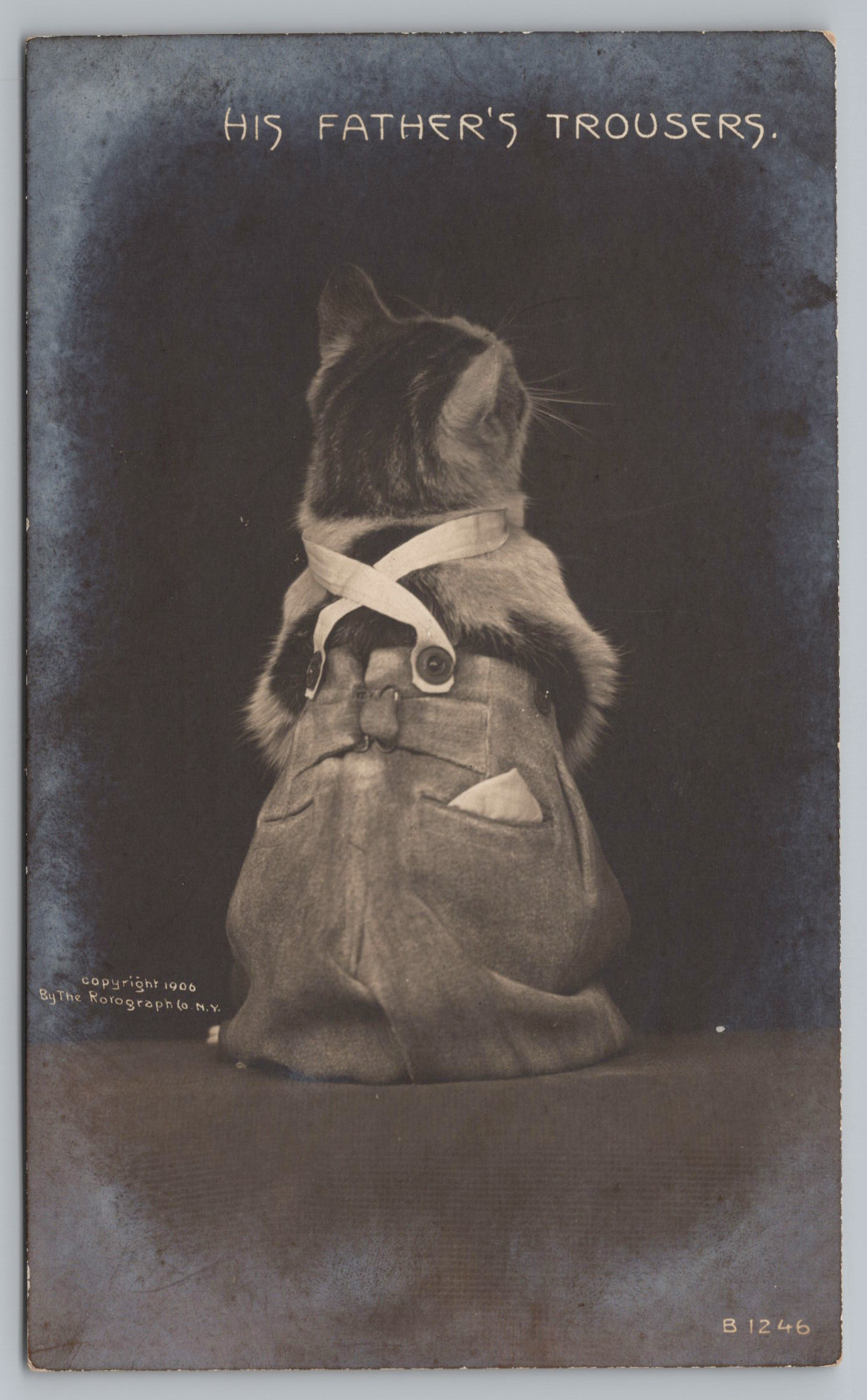 Dressed Cat in Suspenders “His Father’s Trousers” 1906 Rotograph RPPC Postcard