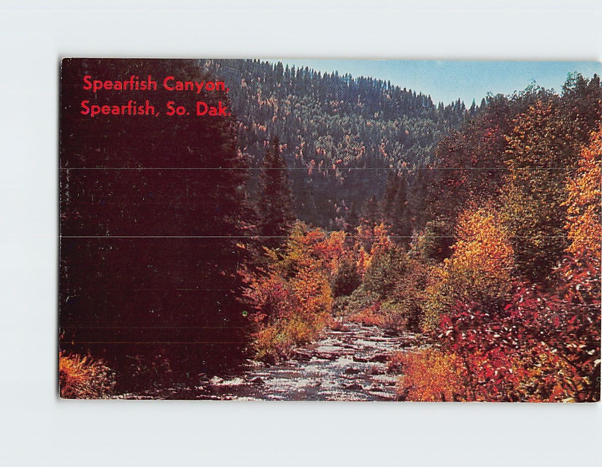 Postcard Spearfish Canyon Spearfish South Dakota USA