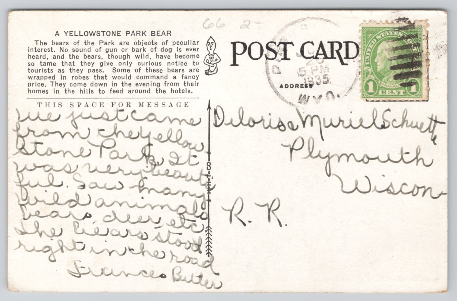 Postcard Wyoming Yellowstone National Park c1935 Brown Bear Waiting For Garbage