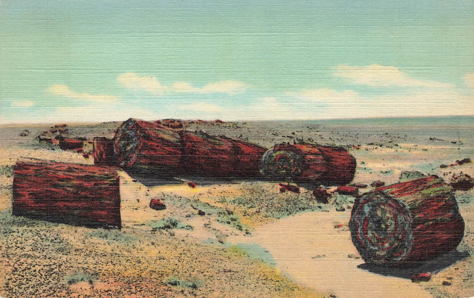 FALLEN LOG CROSS SECTION TREE IN DESERT POSTCARD PETRIFIED FOREST ARIZONA 1939