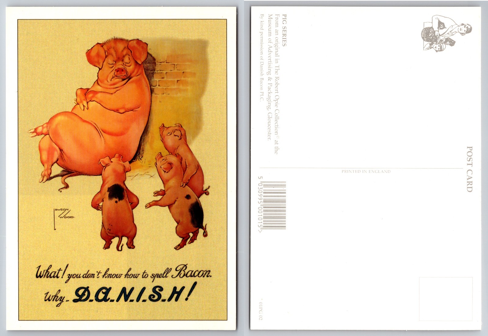 Continental Danish Pig Family Humor Postcard