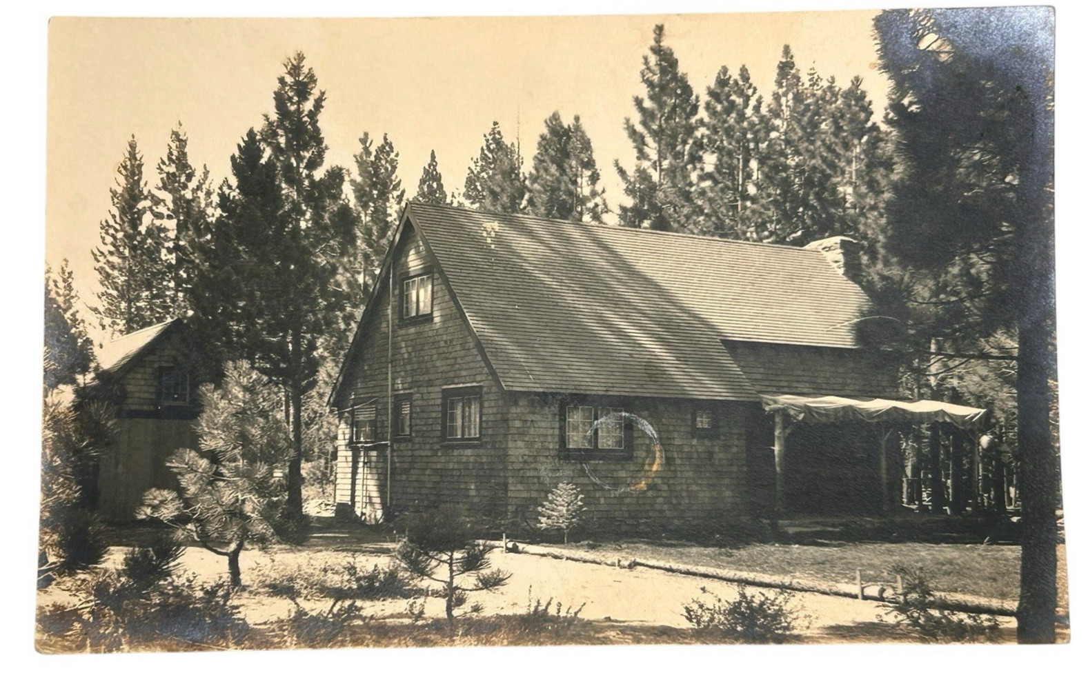 RPPC Rustic Cabin Lodge Pine Forest Kodak Velox Real Photo Postcard
