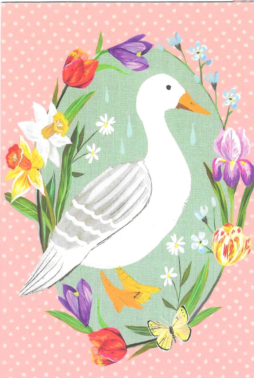 NEW Wildflower Picnic Art Print Postcard Illustrated by Katie Daisy