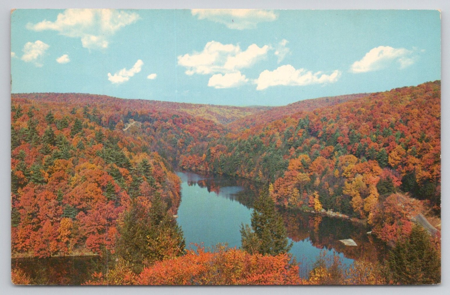 Clarion River PA Autumn Foliage Chrome Postcard Modern-Ad Ektachrome