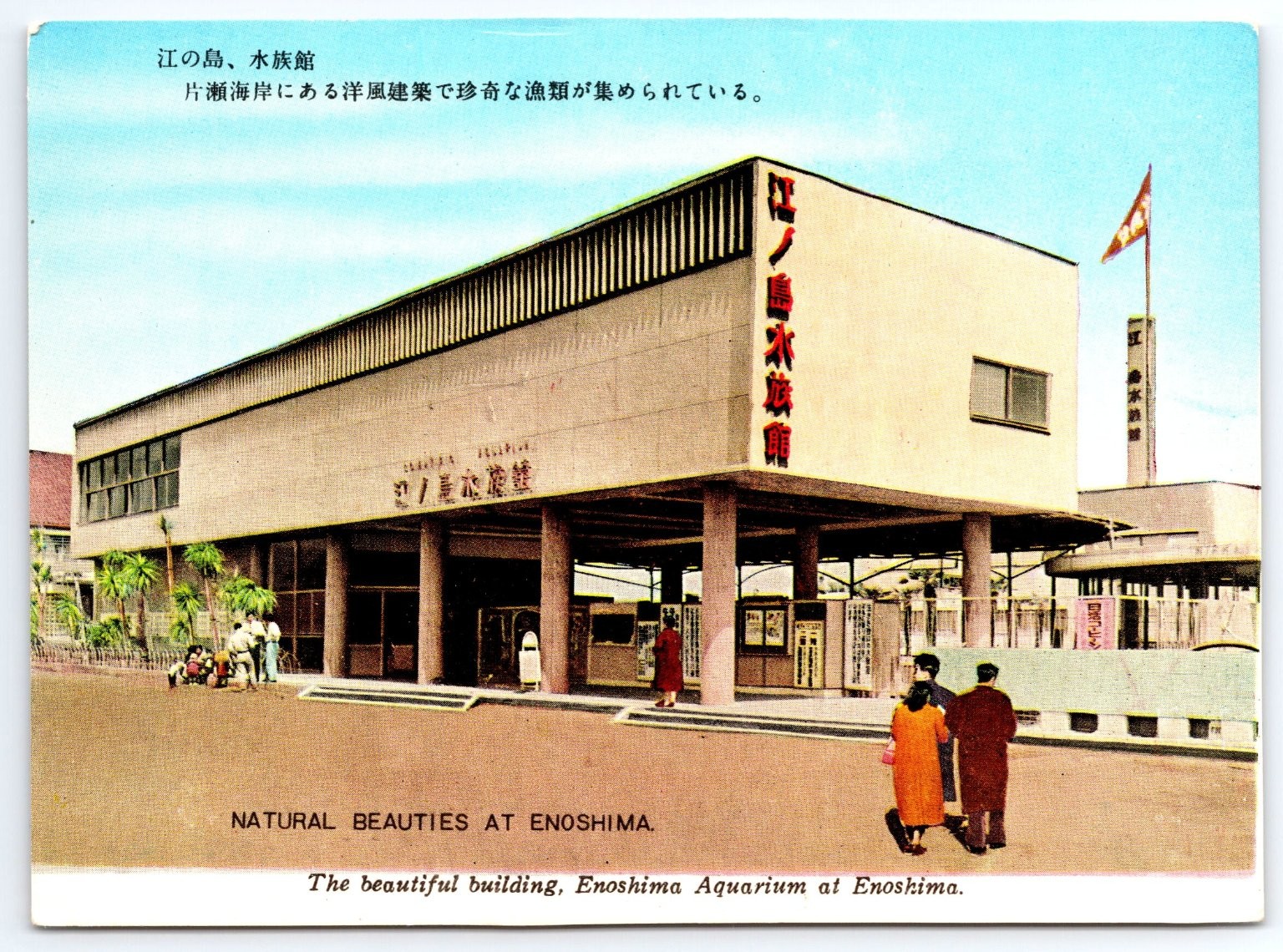 Vintage Enoshima Aquarium Postcard Japan Mid-20th Century Coastal Landmark