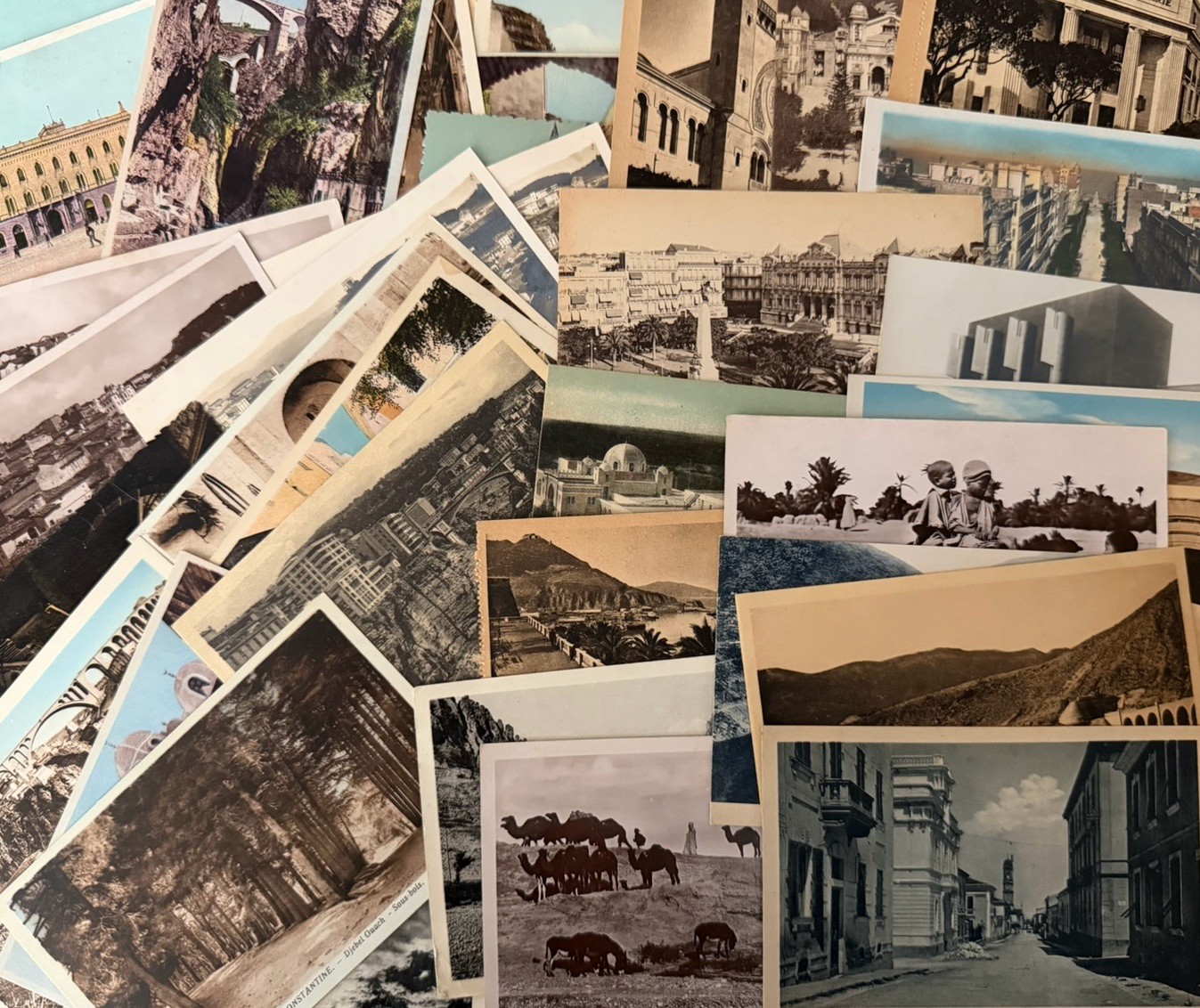 Vintage Mediterranean North Africa Postcard Lot Oran Constantine Biskra Ephemera