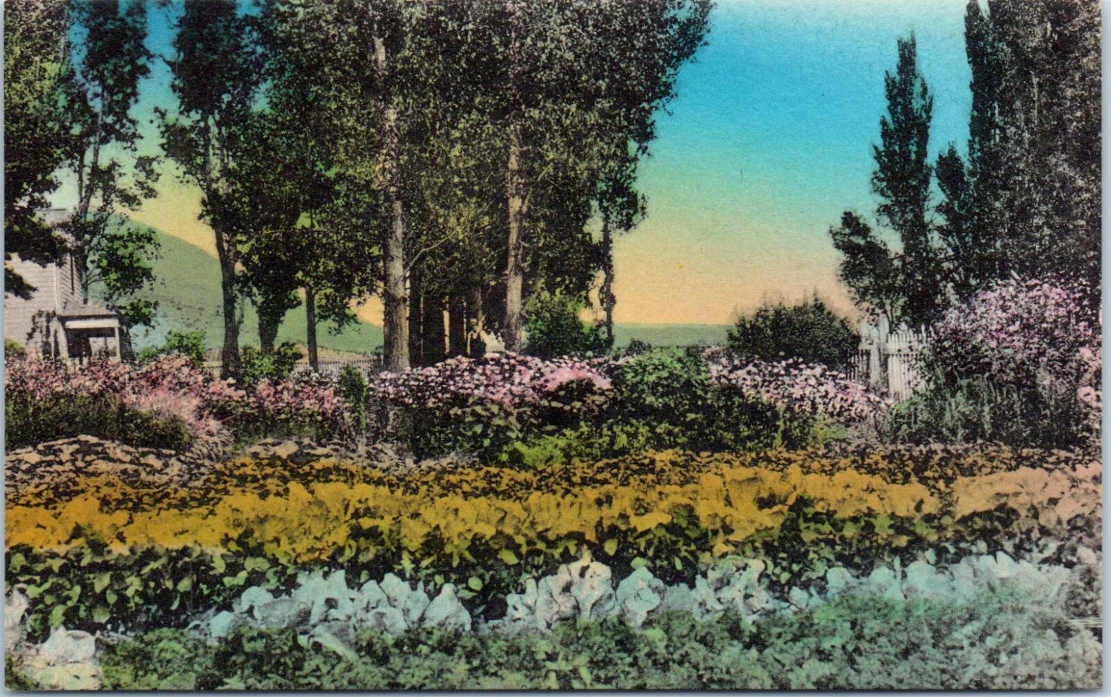 Flower Garden, Schoer’s Ranch, Clover Valley, Wells, Nevada Albertype Postcard