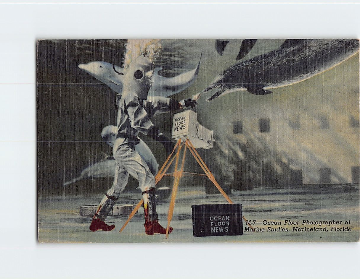 Postcard Ocean Floor Photographer Marine Studios Marineland Florida USA