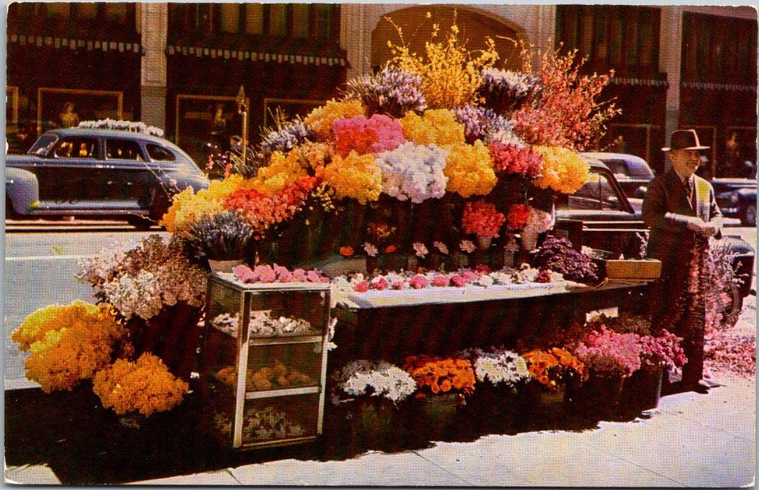 San Francisco Flower Stand Postcard Kodachrome Color Photo Vintage B47