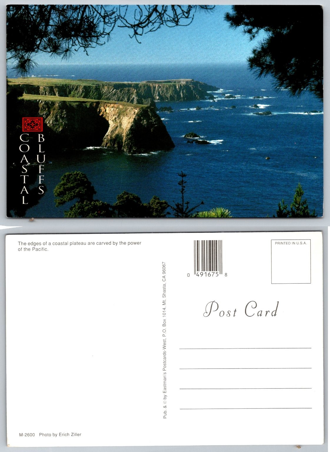 Coastal Bluffs Pacific Ocean California Scenic Postcard Erich Ziller Photo
