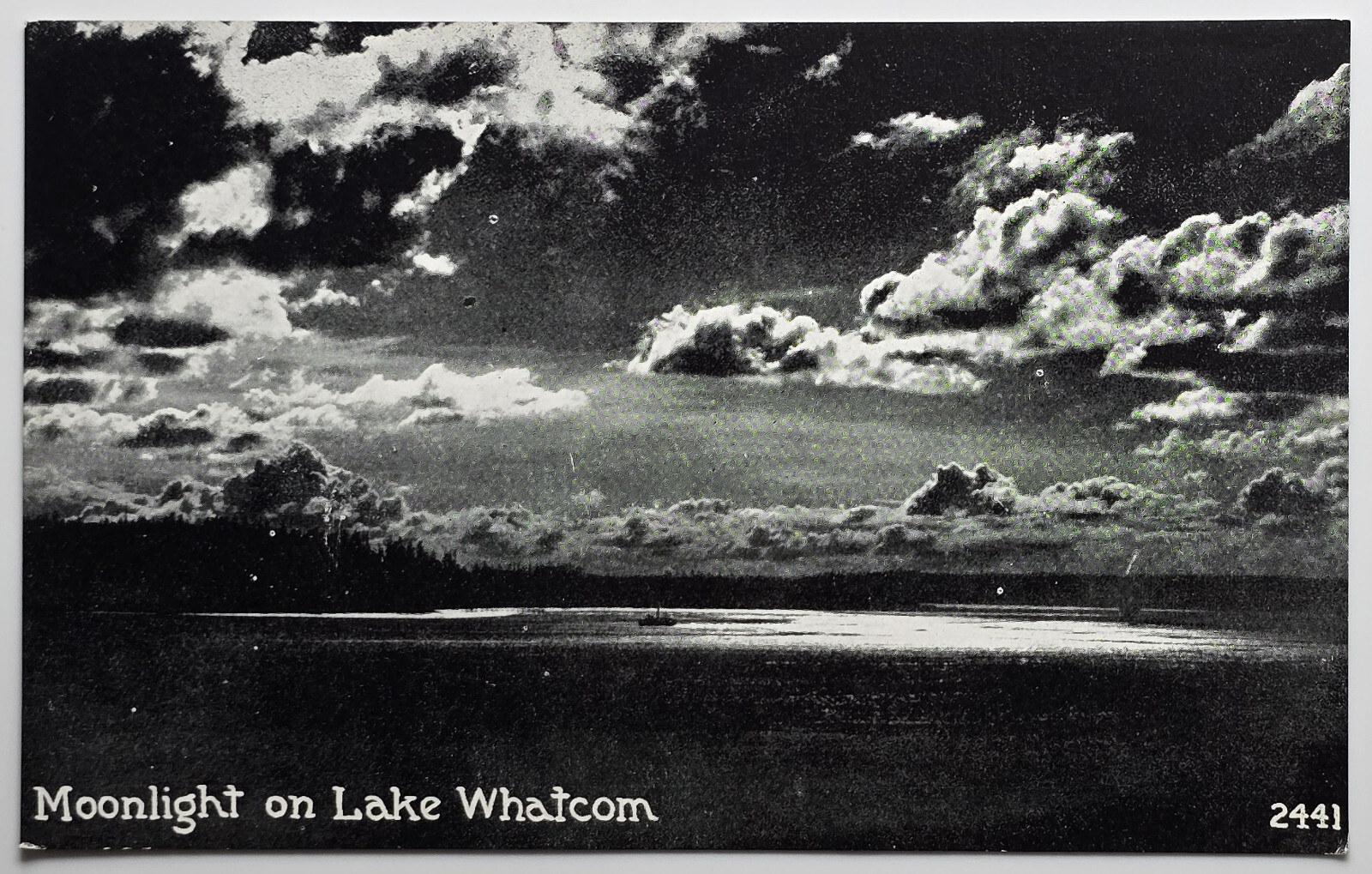 Moonlight on Lake Whatcom Washington – Pacific Novelty Co 2441 Vintage Postcard