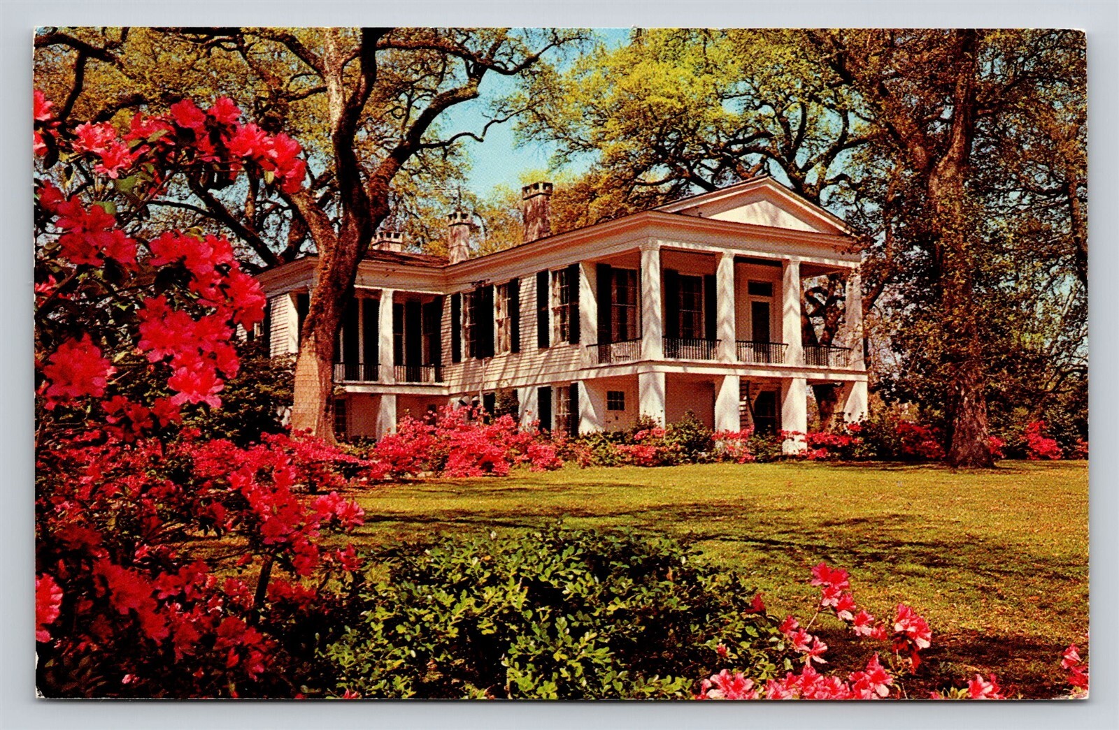 Mobile AL Oakleigh Historic Mansion House Museum Vtg Postcard View Unused