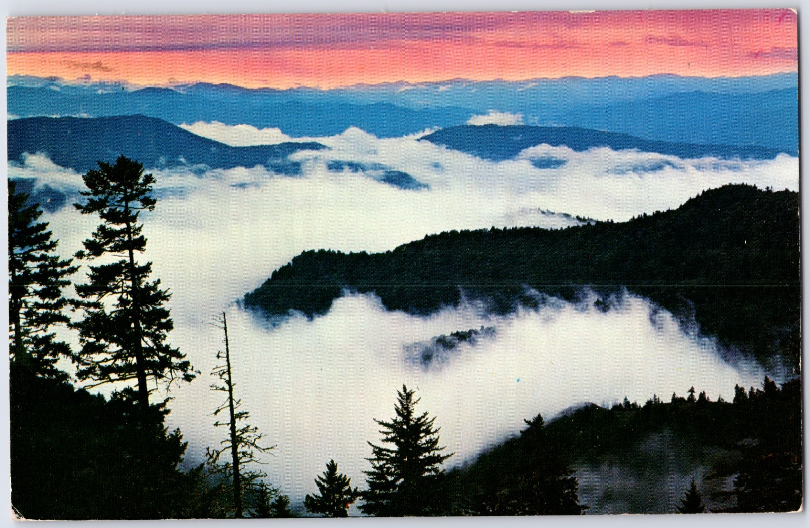 VINTAGE ABOVE THE CLOUDS AT SUNRISE GREAT SMOKY MOUNTAINS~c1956 POSTCARD NB