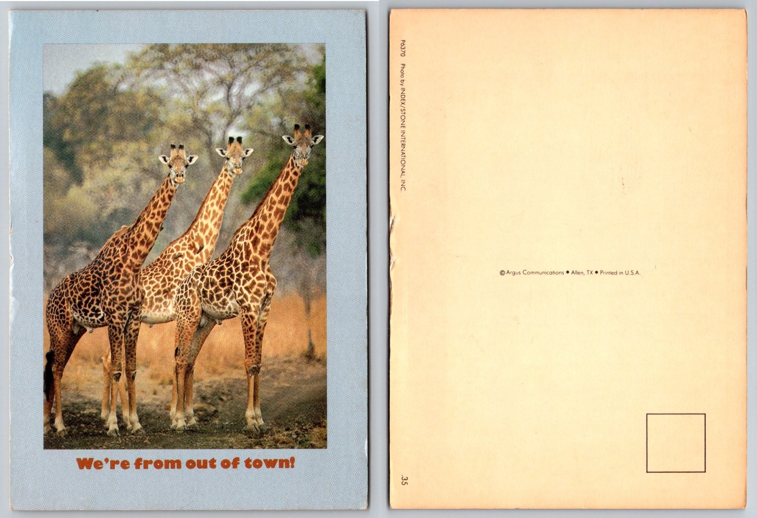 Vintage Giraffes Postcard “We’re From Out of Town!” Argus Communications