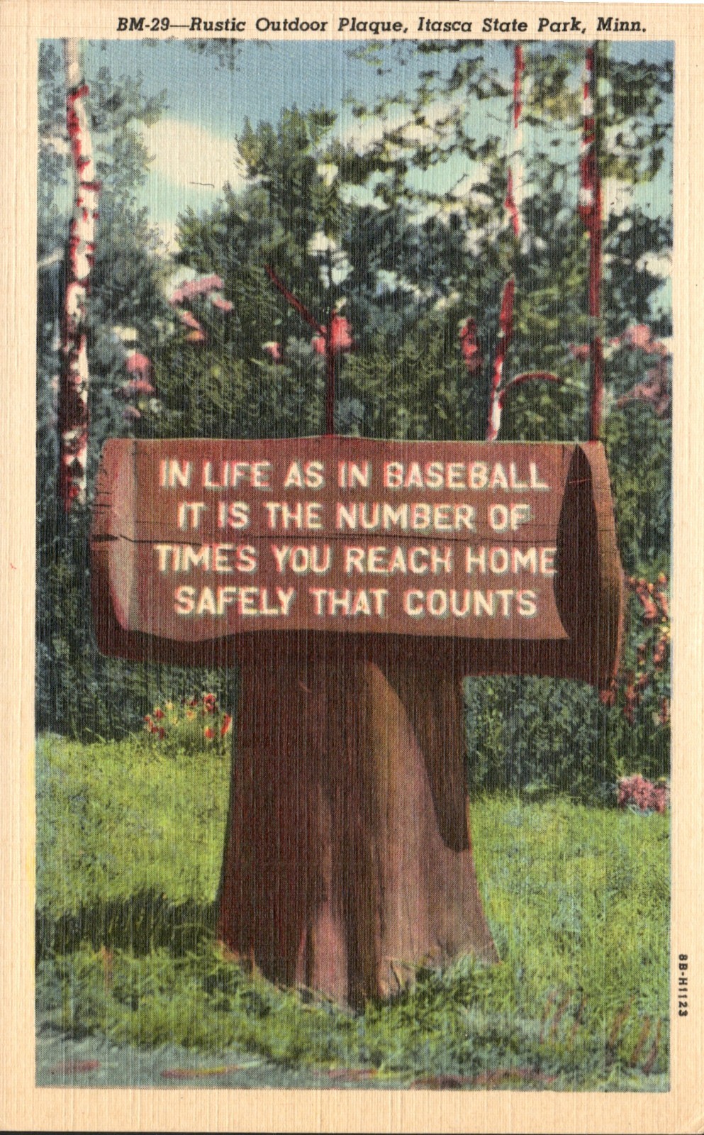 Itasca State Park Minn Rustic Outdoor Plaque Sign Sayings Postcard MN