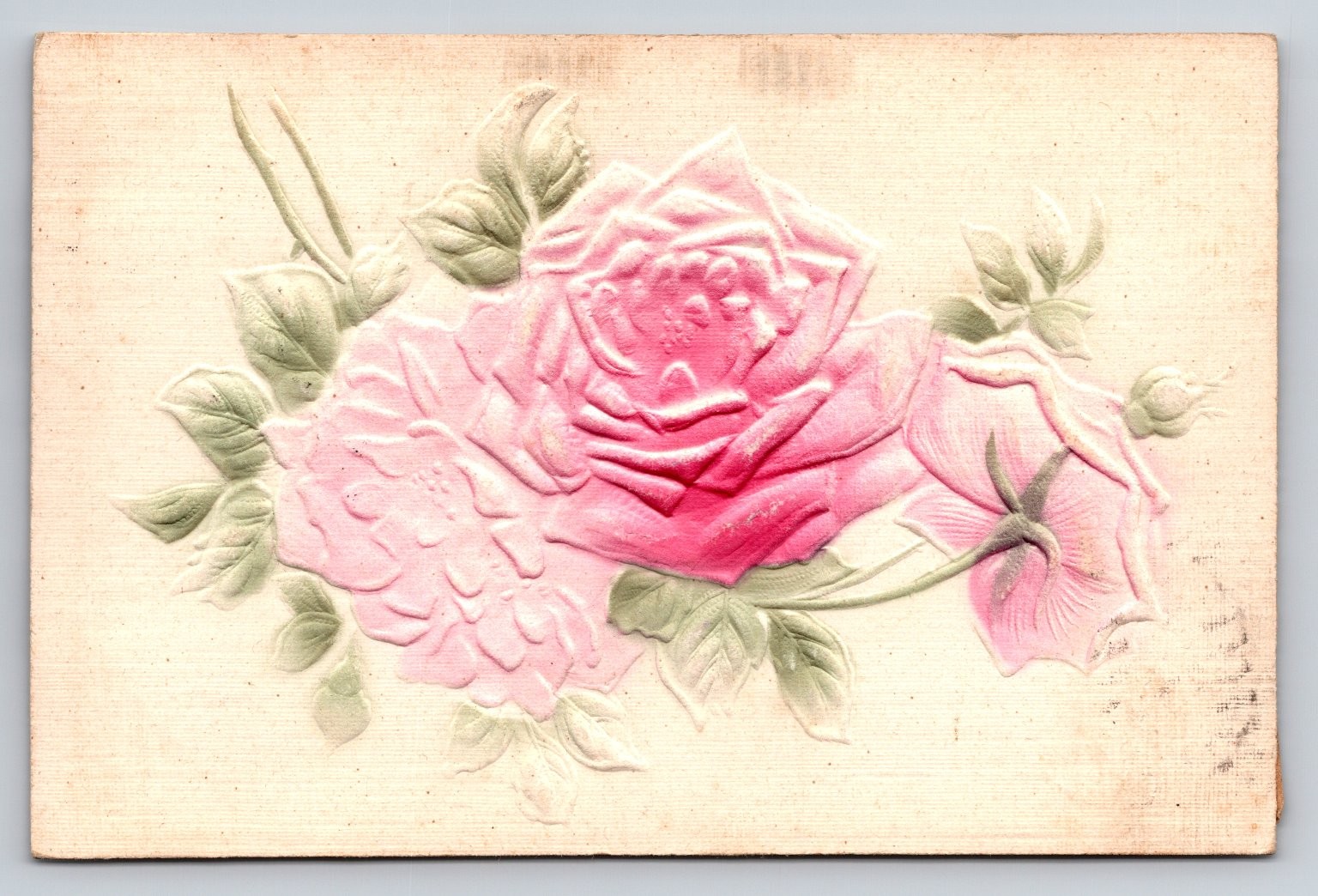 Vintage Divided Back Embossed Rose Postcard Standard Size Made in Germany