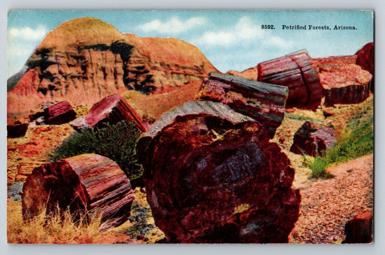 Postcard Petrified Forest Adamana Arizona Unposted Chrome Divided Back