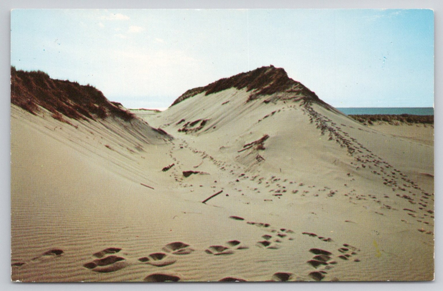 Vintage Sand Dunes Cape Cod Massachusetts Postcard Dexter Press
