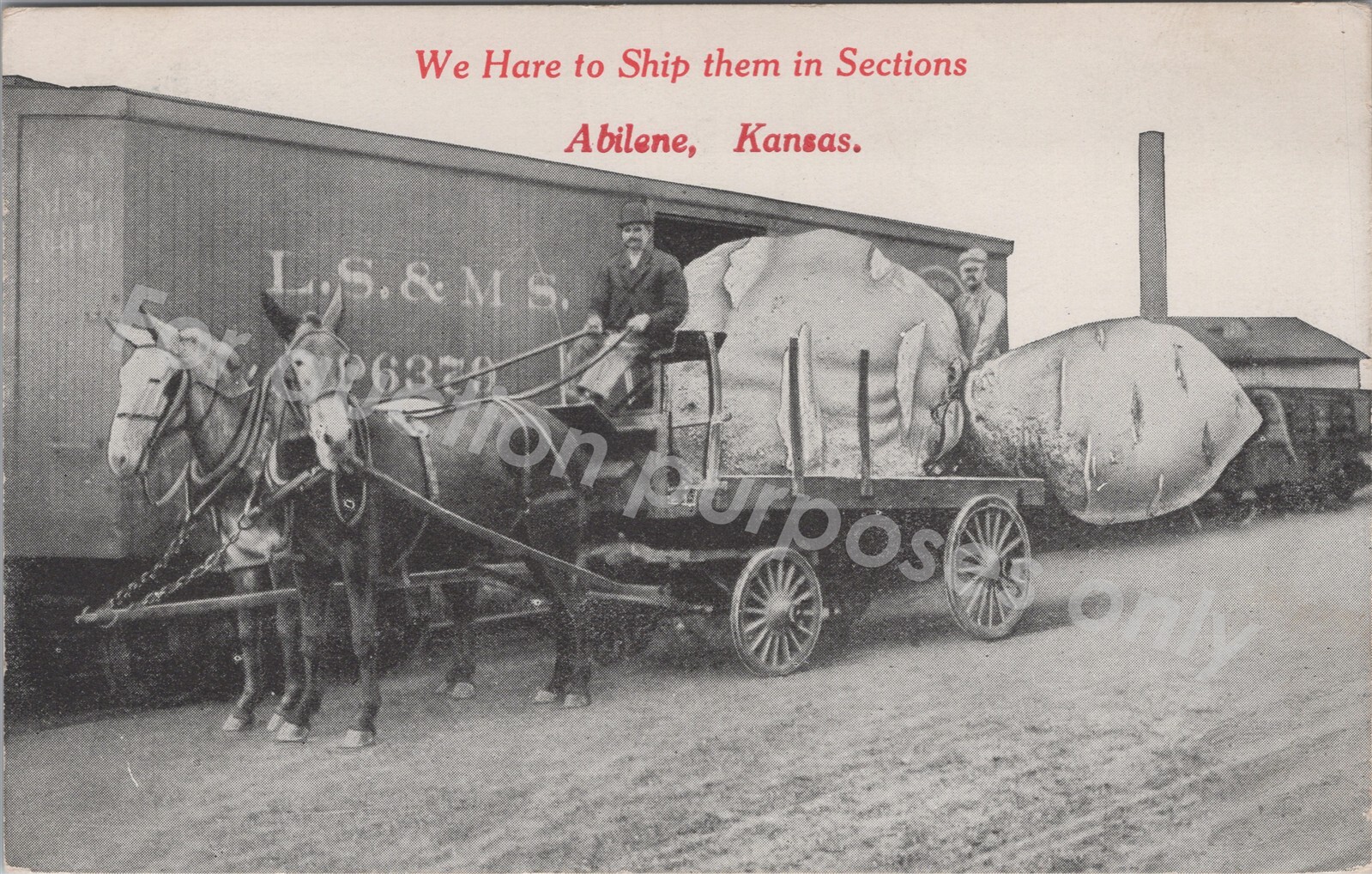 Abilene, KS: 1913 Exaggeration Vegetables Shipping Train Vintage Kansas Postcard