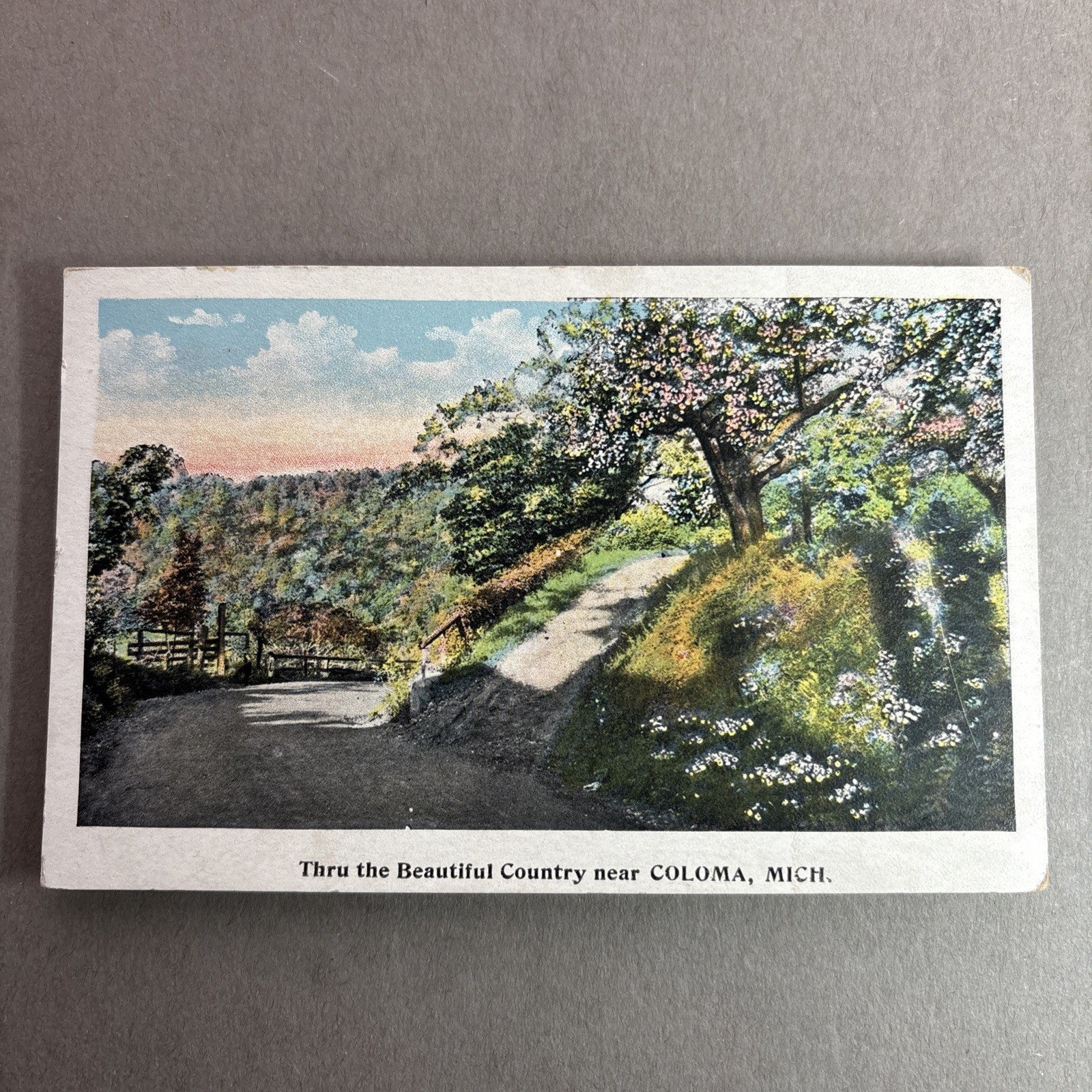 SPRING POSTCARD Apple Blossoms dirt road Country Scene Coloma MI unp wb