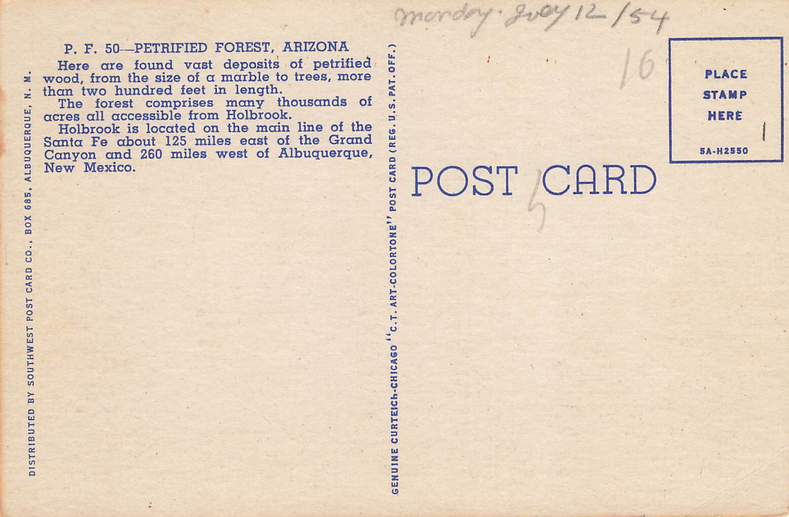 FALLEN LOG CROSS SECTION TREE IN DESERT POSTCARD PETRIFIED FOREST ARIZONA 1935