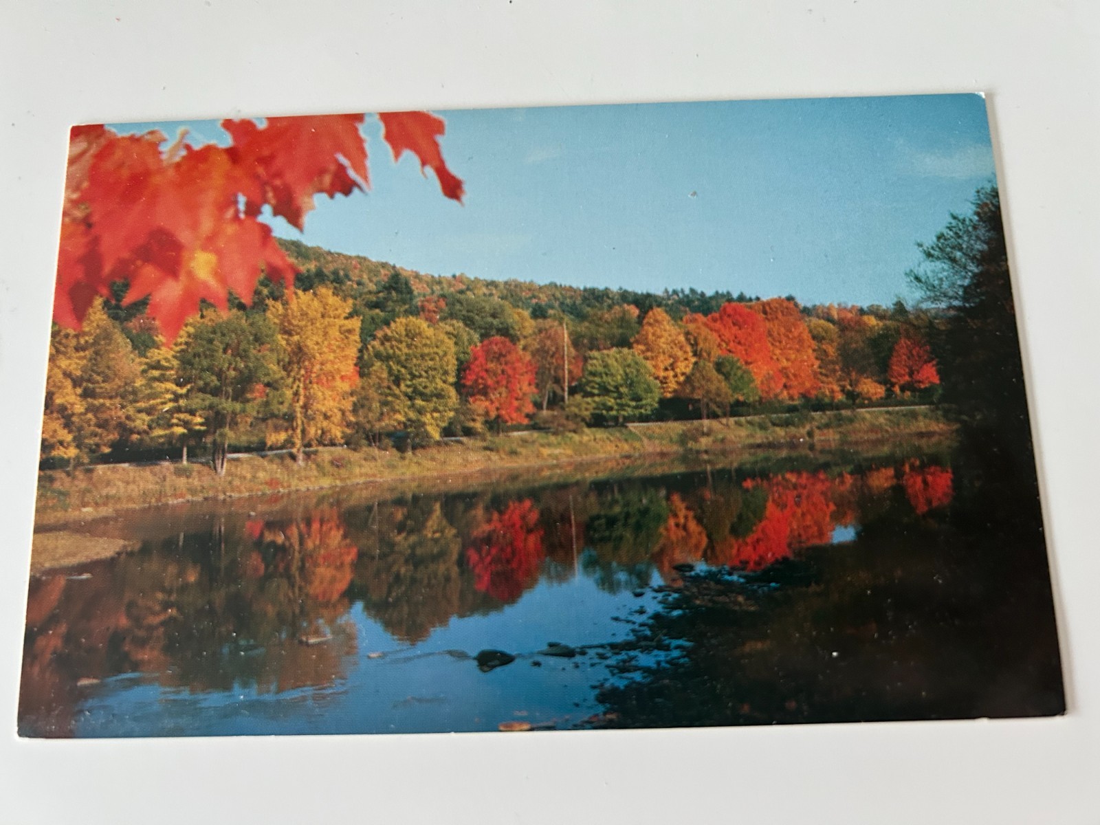 Clarion River at Cook Forest State Park Brookville Tionesta Clarion Marienville