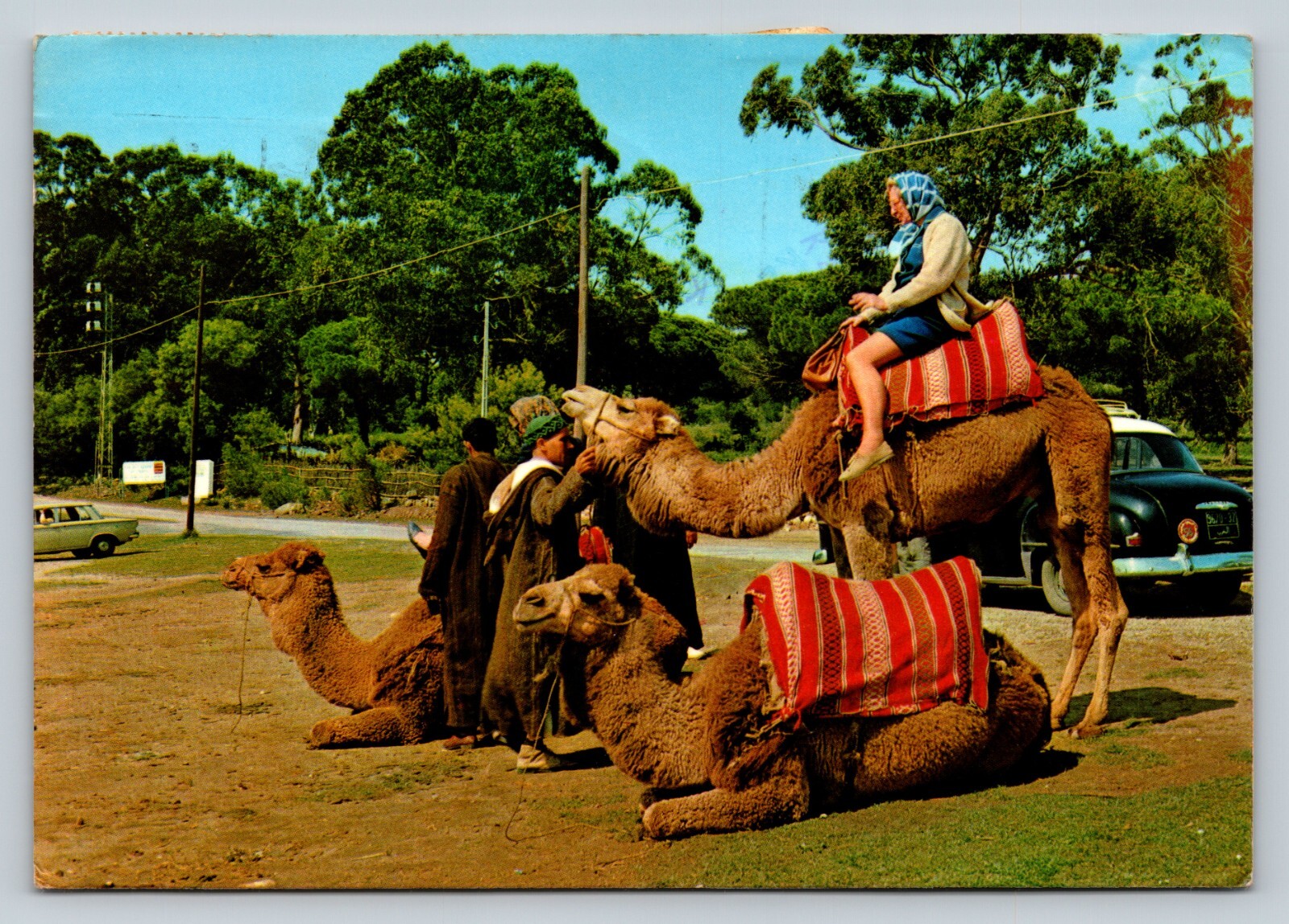 c1981 Older Woman Rides Camel Morocco Africa Travel 6×4″ VINTAGE Postcard