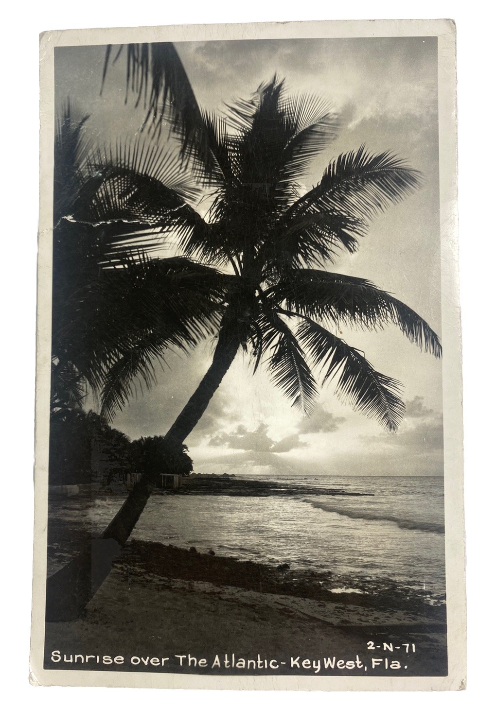 Sunrise over Atlantic Ocean Palm Tree ~ Key West Florida ~ Vintage RPPC Postcard