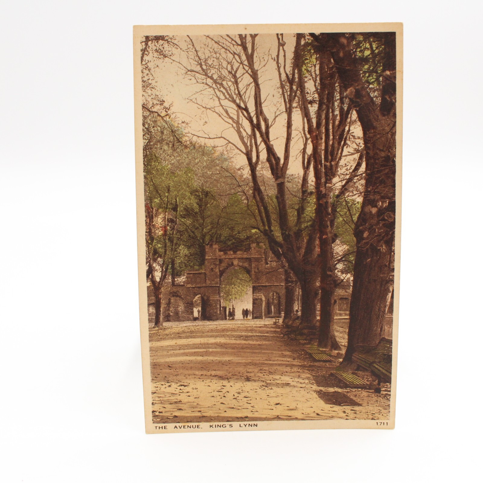 Postcard – King’s Lynn – The Avenue Norfolk England UK