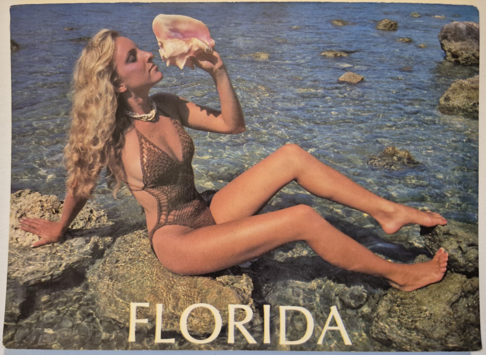 Vintage 4×6″ Postcard Florida Bikini Girl Conch Shell Horn Blond NY01